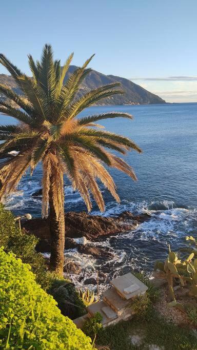 Apartmán Casa Al Mare A Recco Exteriér fotografie