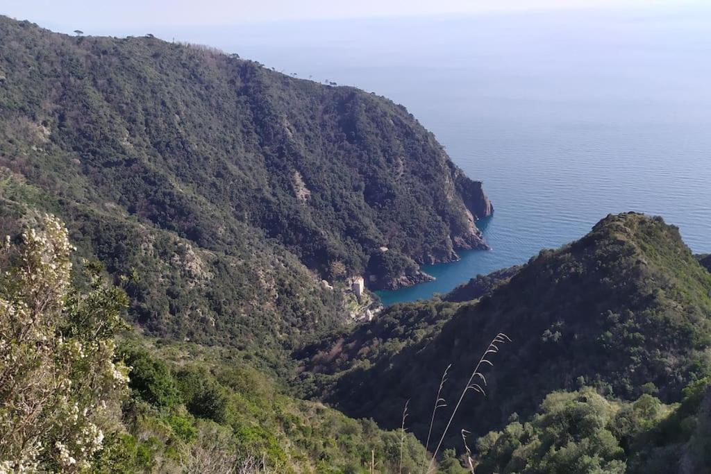 Apartmán Casa Al Mare A Recco Exteriér fotografie